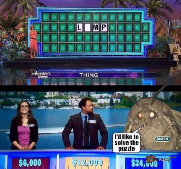 Moth in a game show