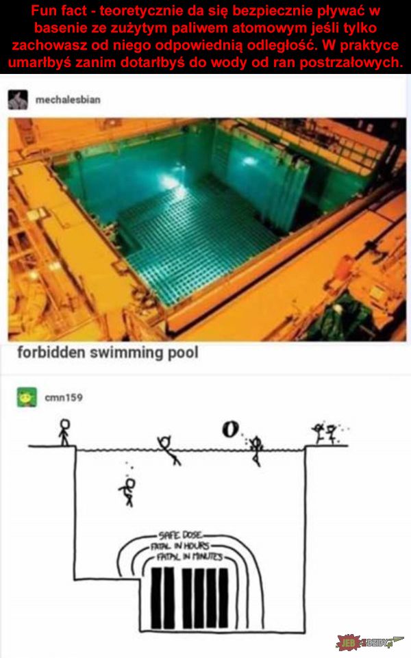 Zakazany basen