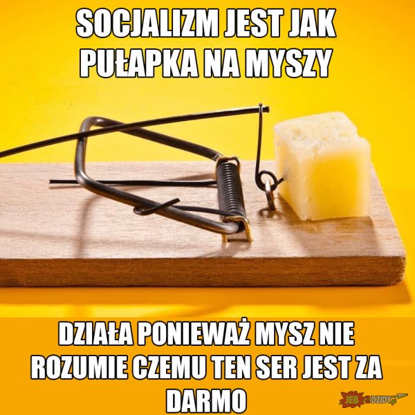 Socjalizm 