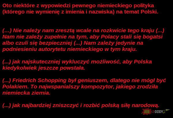 Niemiecki polityk o Polsce