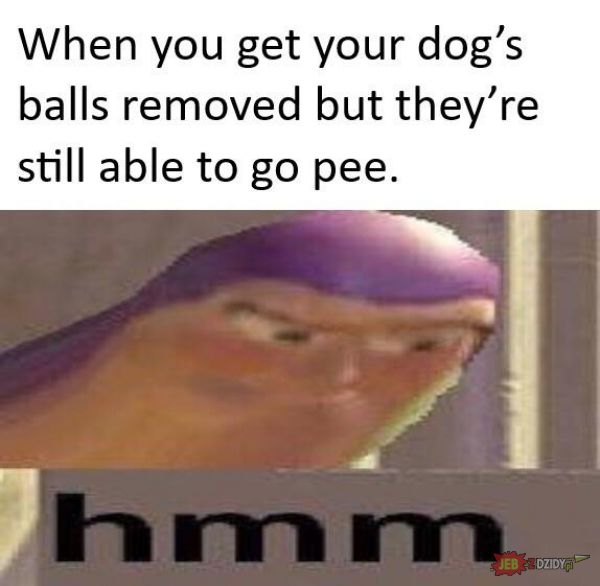 Pee is stored in the balls