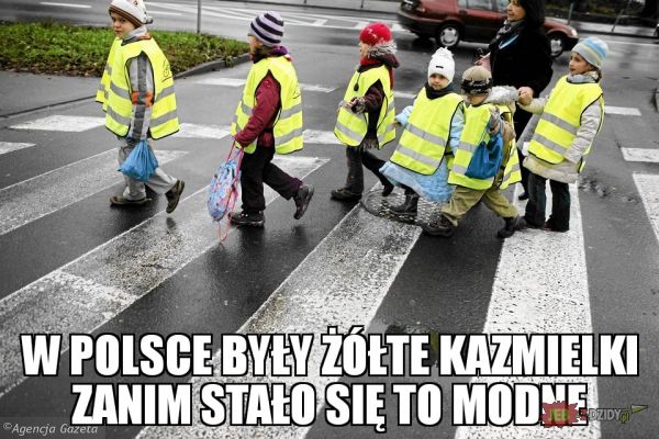 Polskie kamizelki