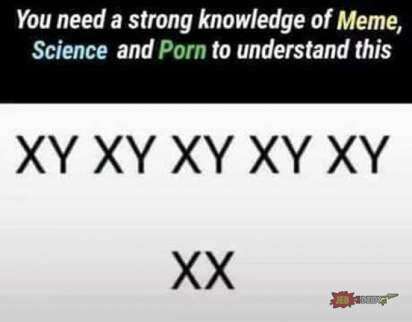 wiedza
