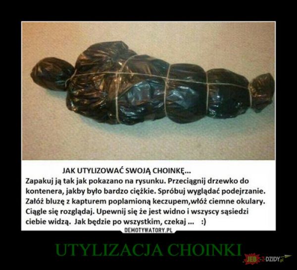 Choinka 
