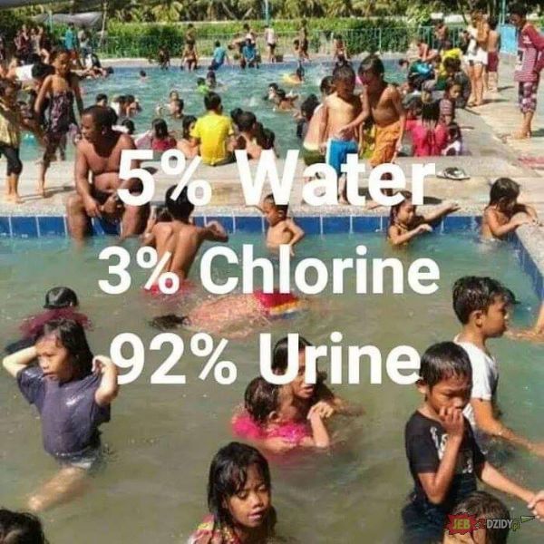 Zawartość wody