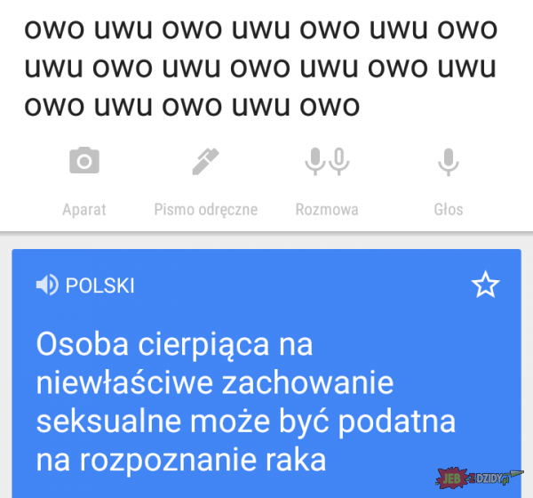 The best of Google Tłumacz