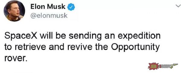 Brawo Elon! 