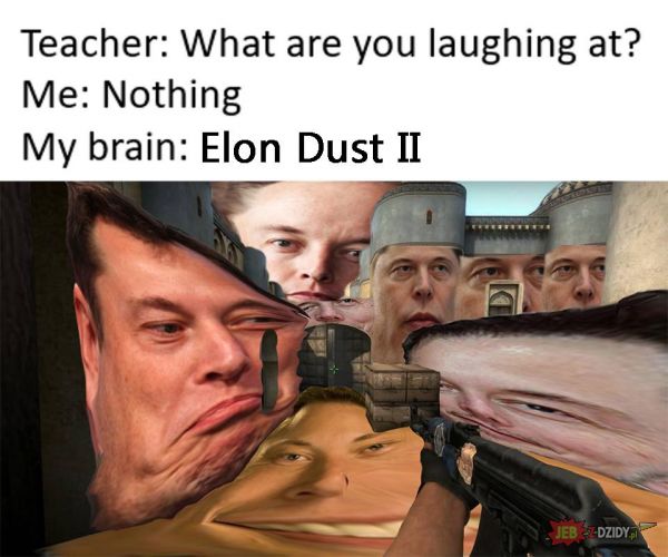 Elon Dust 