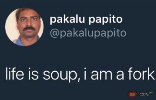 Życie to zupa 
