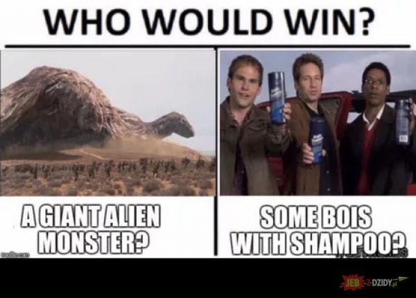 Kto wygra 