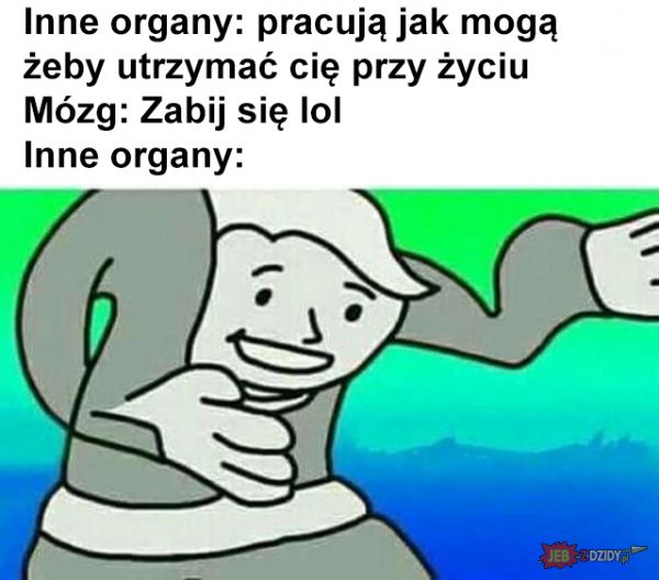 Organy