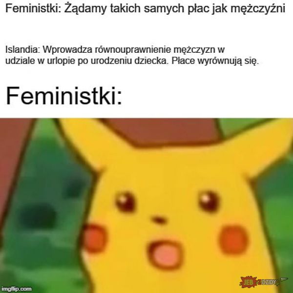 Feministki 