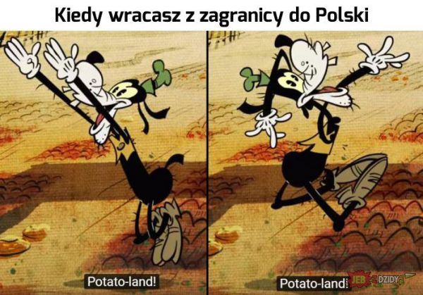 Witamy w Polsce! 