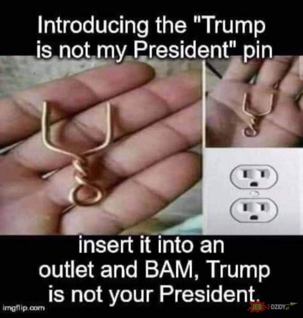 Trump is not my President!