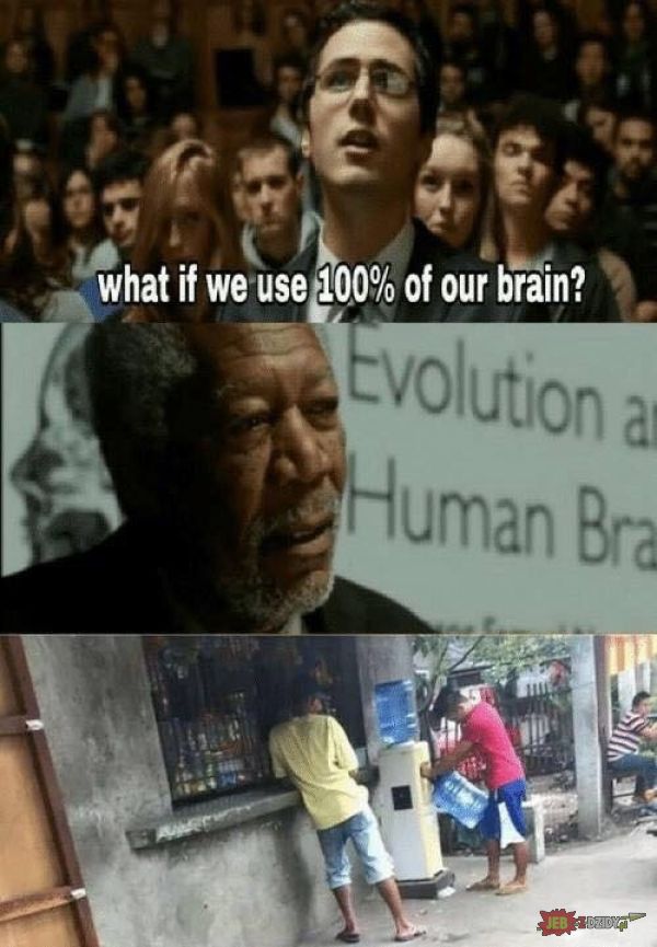 100% mózgu 