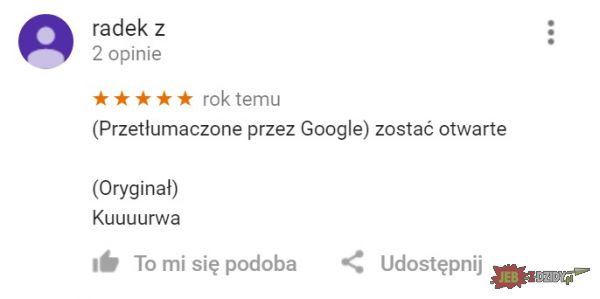 google uczy się polskiego