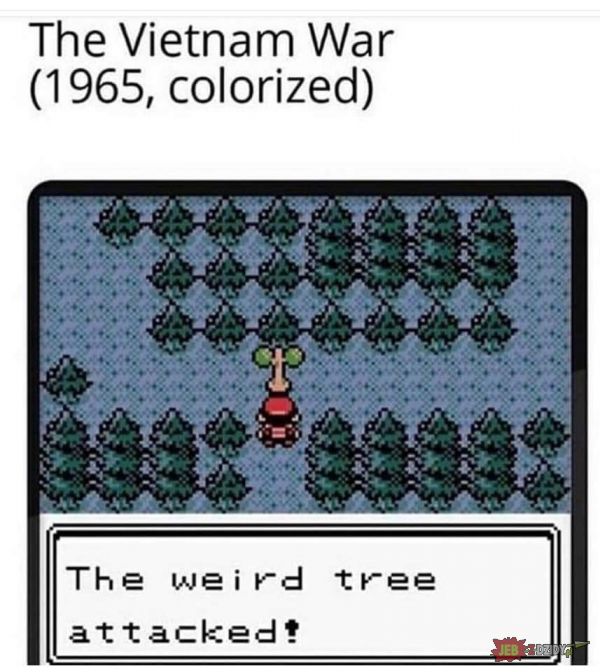 Dziwne drzewo