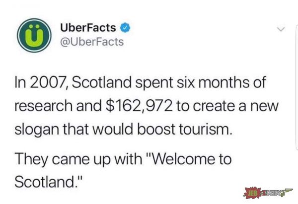 Tymczasem Szkocja 