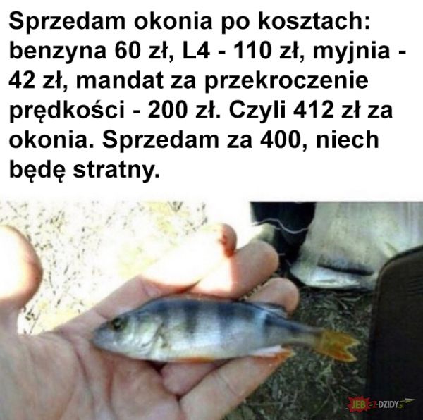 Łowienie ryb się opłaca