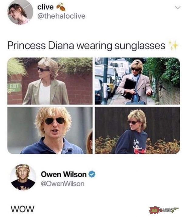 Księżna Diana