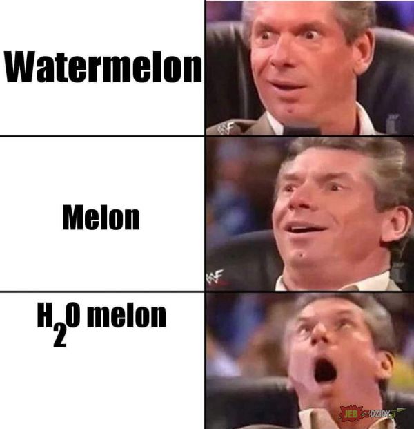 h2o melon