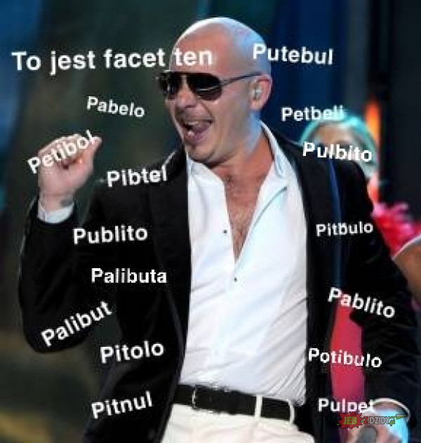 Pitbullo