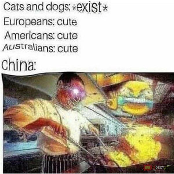Chinczyki świrusy