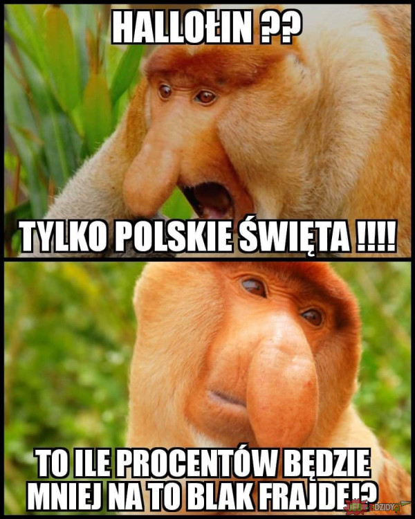 Logika Polaków