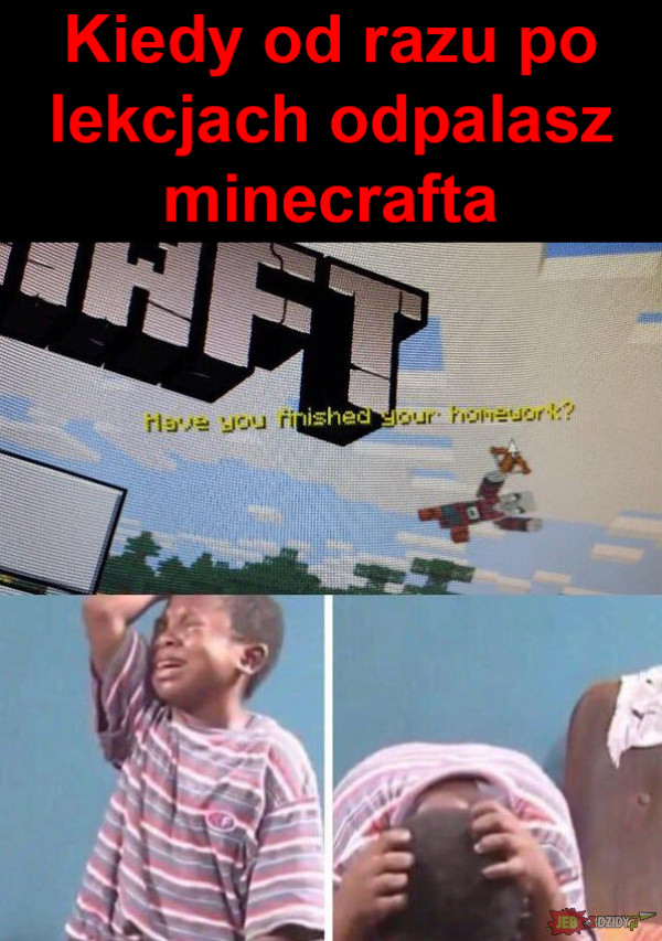 Minecraft rani