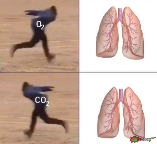 O2 vs CO2