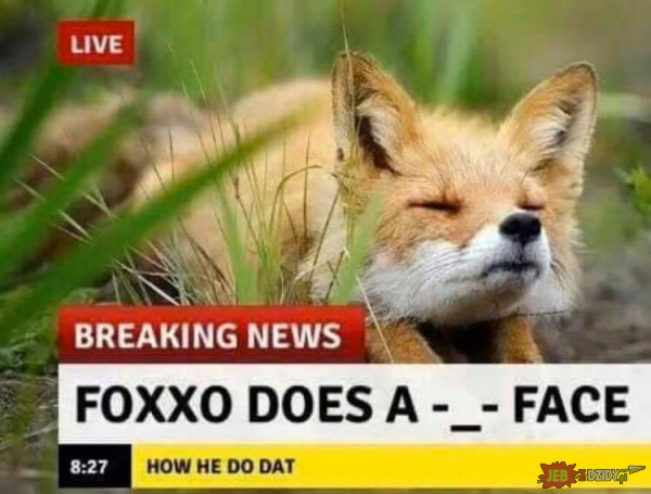 FOXXO