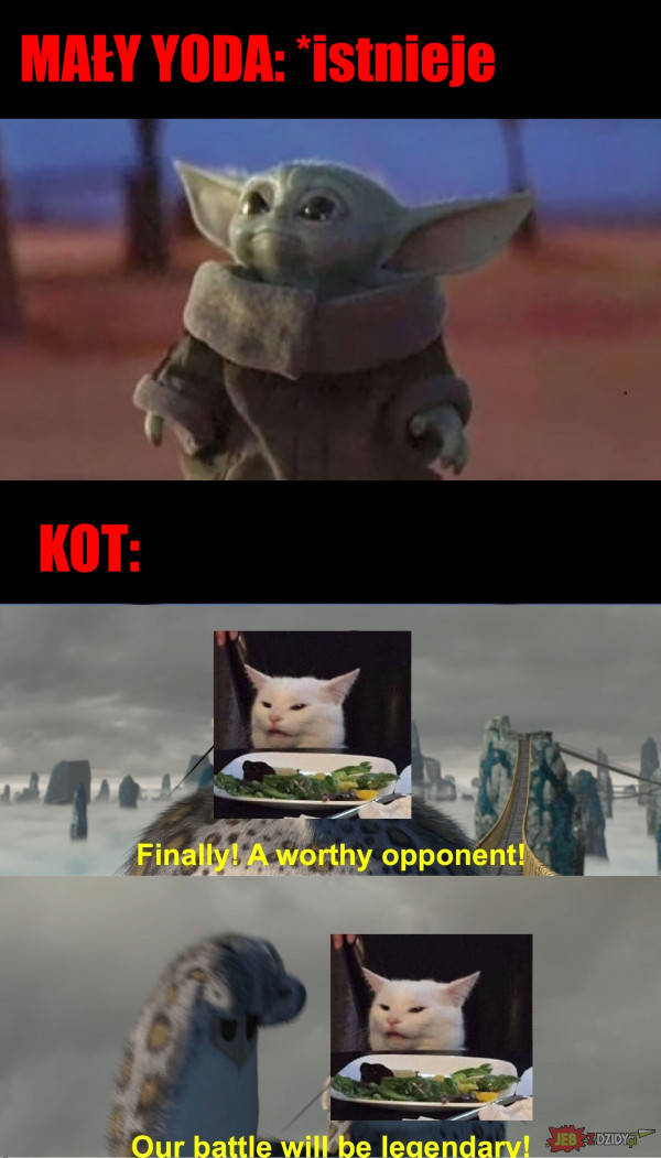 Mały Yoda vs Kot