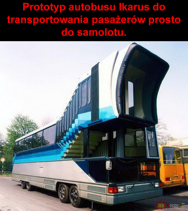 Taki autobus