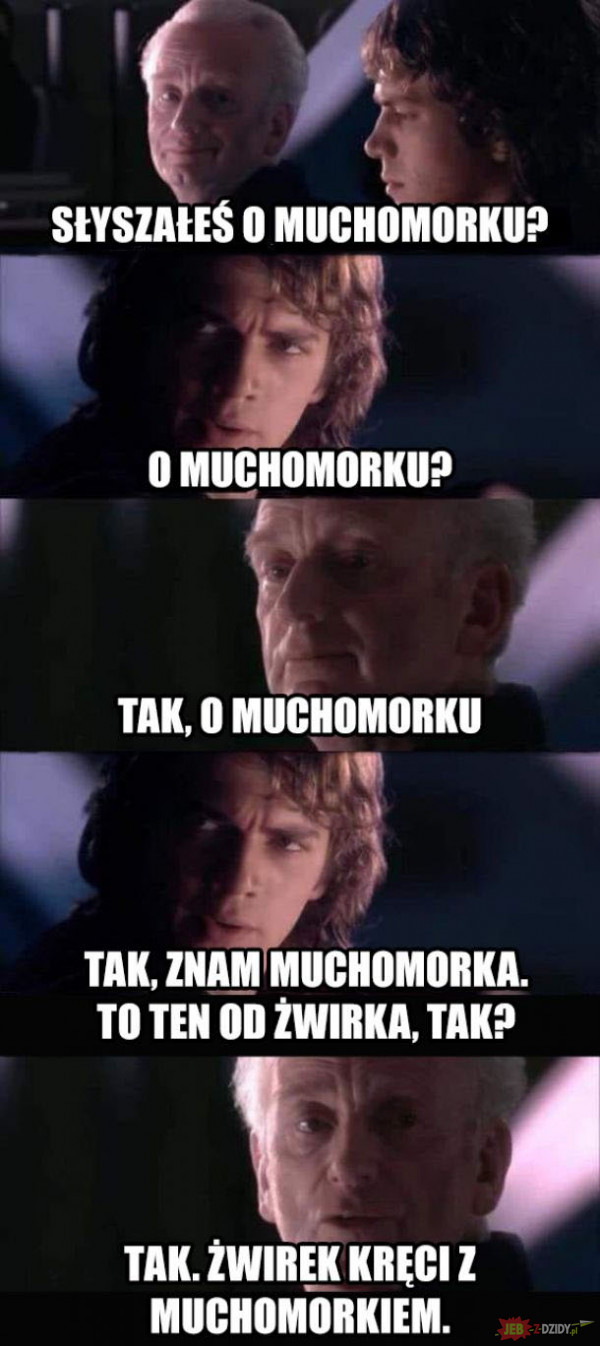 Muchomorek