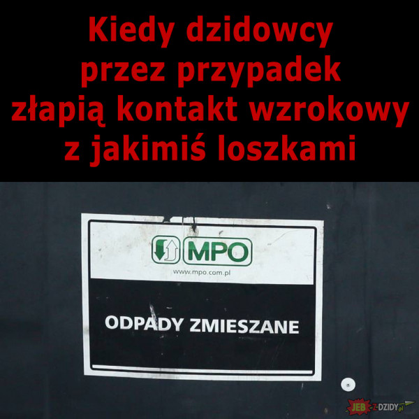 Dzidowcy