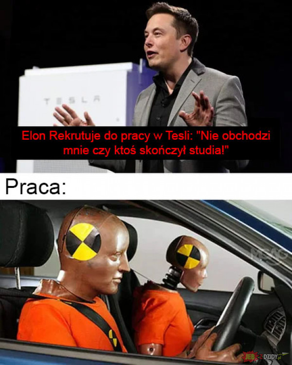 Elon Musk i praca