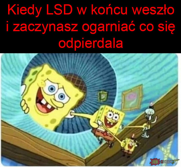 Działanie LSD