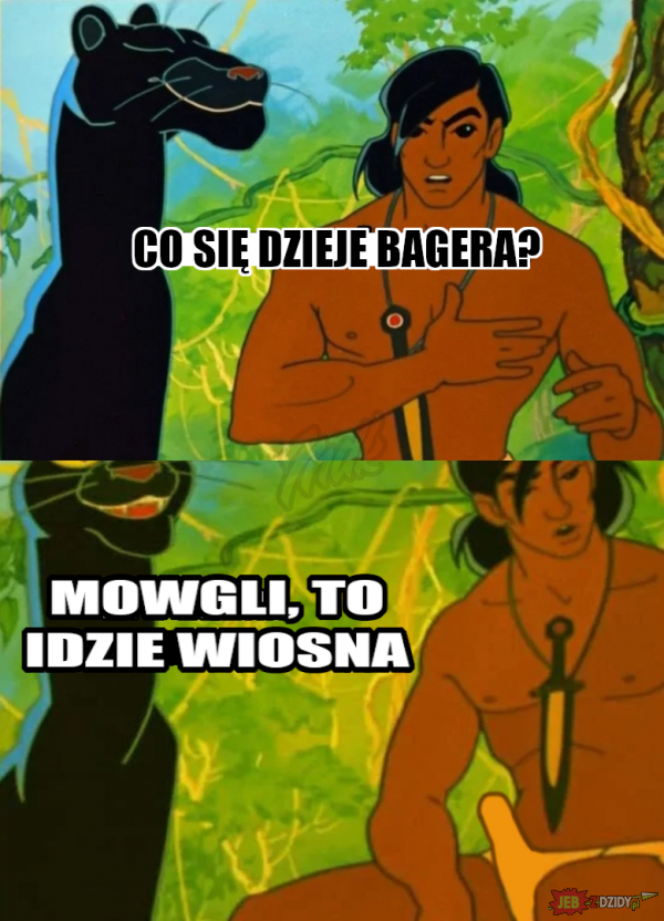 Wiosenny Mowgli