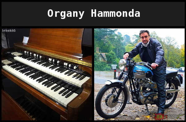 Organy Hammonda.