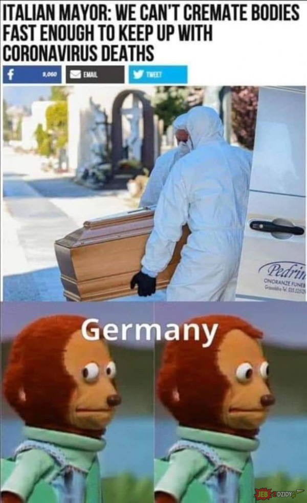 Może Niemcy podziela się doświadczeniem