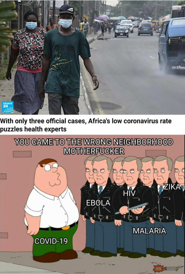Afryka się nie da