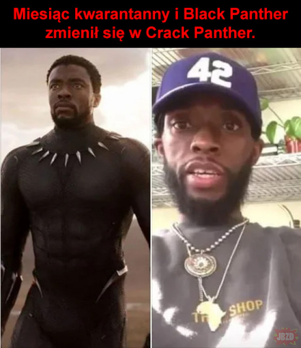 Crack Panther