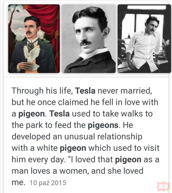 Tesla i gołębie