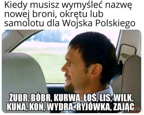 Nazwy w Polsce