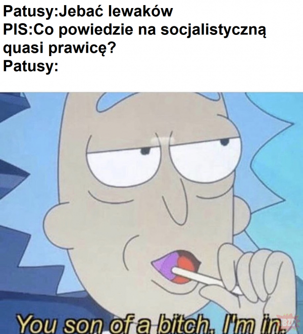 Patusy 500 plusy