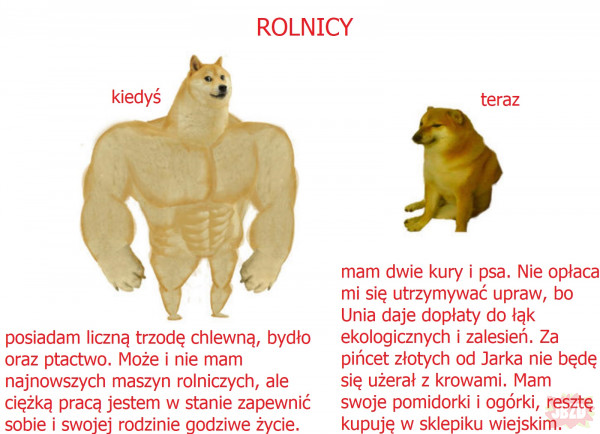 rolnicy...