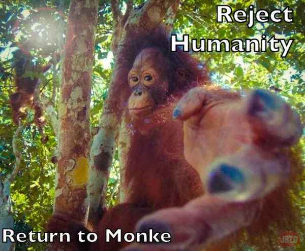 Gdy masz już dosyć ludzkości i jedyne rozwiązanie to powrót do małp ...