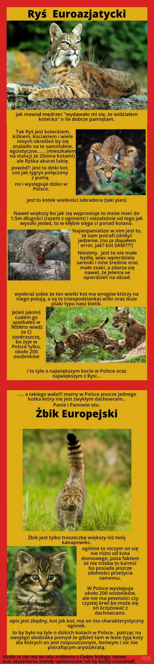 Najciekawsze zwierzęta w Polsce cz.3