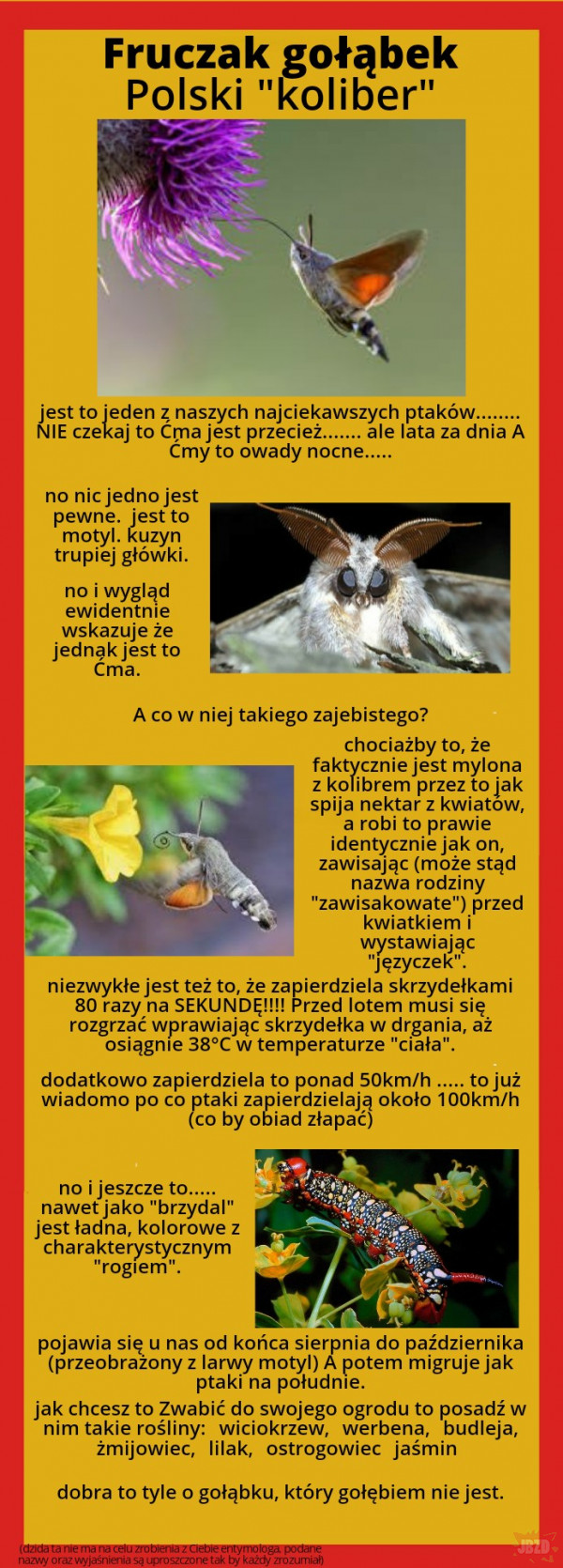 Najciekawsze w Polsce zwierzęta cz.2 (podsumowanie)