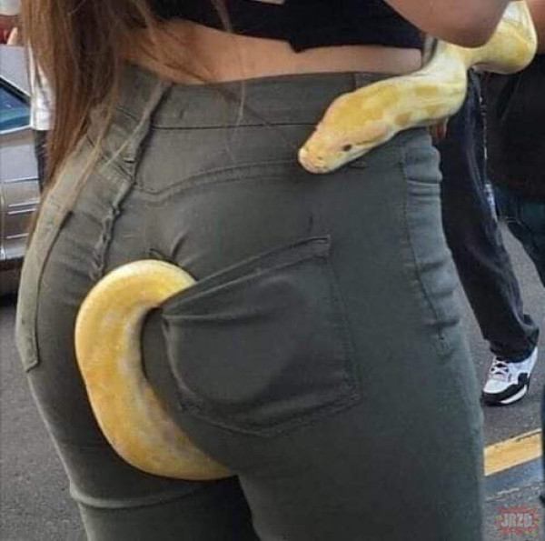 Kiedy masz węża w kieszeni